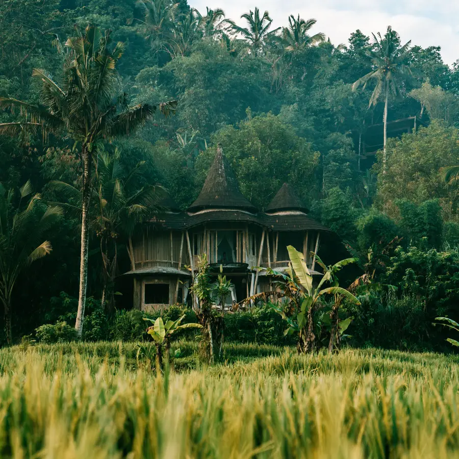 A Balinese house among green rice fields