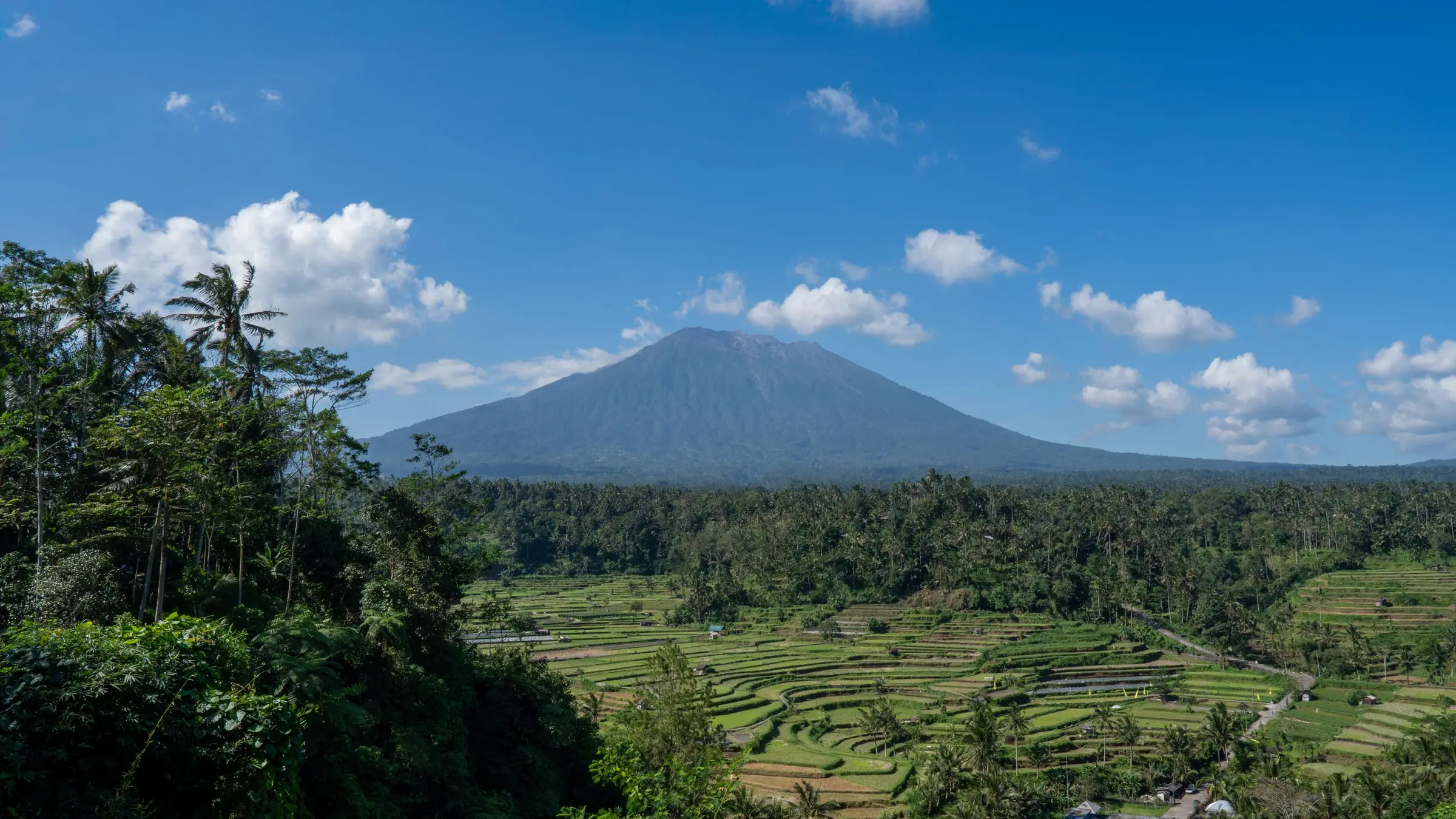 Green rice terraces with Mount Agung in the distance