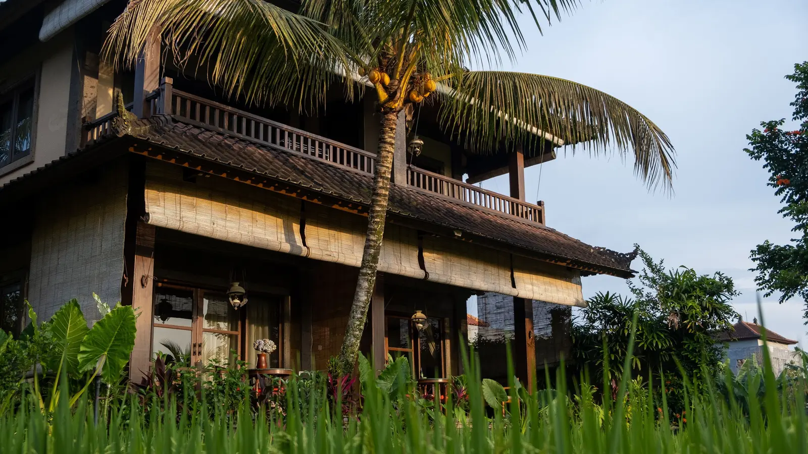 Balinese-style buildings surrounded by rice fields and palm trees